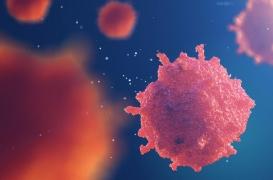 Lafora : une maladie génétique rare encore trop méconnue 