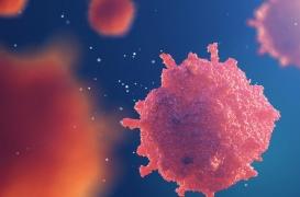 Les maladies rares en trois questions