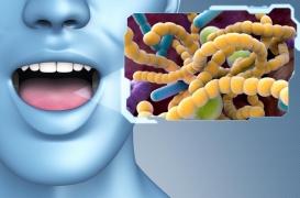 Covid long : les bactéries buccales en cause ?