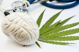 Stress, anxiété : notre cerveau sécrète une molécule aux mêmes effets que le cannabis