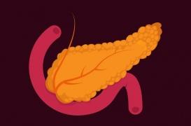 Cancer du pancréas : l'épigénétique offre de nouvelles pistes de traitement