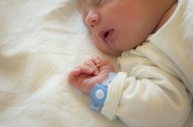 Les PFAS peuvent-ils déformer le visage des bébés in utero ?