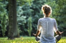 Vivre à proximité d’un espace vert diminuerait les symptômes du syndrome prémenstruel 