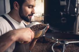 Comment notre cerveau organise les informations sur les odeurs