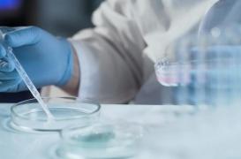 Téléthon : que fait la recherche avec les dons ? 