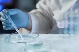 La sérendipité, pour les avancées essentielles de la médecine