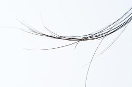 Hormone du stress dans les cheveux : son niveau prédit le risque cardio vasculaire
