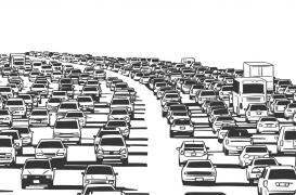 La circulation sanguine, de meilleure qualité que bison futé