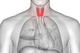 Levothyrox : un chercheur aurait trouvé l'origine des effets secondaires indésirables