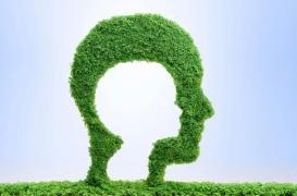 Pourquoi les souvenirs de la petite enfance ne restent pas gravés ?