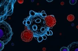 Cancer : l’activité des CAR-T cells suivie grâce à l’imagerie