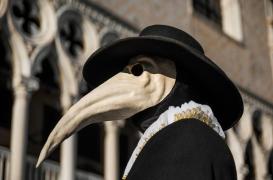  Moyen-âge : des chercheurs percent les secrets de la bactérie  à l’origine de la peste