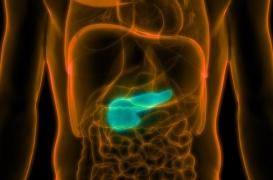 Cancer du pancréas : le taux de mortalité a augmenté dans toute l'Europe