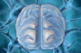 Coronavirus : le Covid-19 pourrait-il infecter le système nerveux central ? 