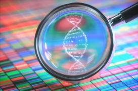 Mélorhéostose : le mystère des origines de cette maladie osseuse enfin résolu