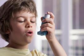 Asthme pédiatrique : bientôt un test rapide pour détecter l’endotype ? 