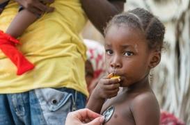 Ebola en RDC : la cellule souche à l'origine de l'épidémie enfin découverte par des chercheurs