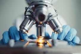 Hypertension, diabète, cancer : on sait comment ces maladies affectent les vaisseaux sanguins