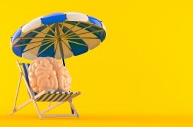 Cerveau en vacances : les vrai/faux démêlés