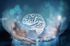 Bruits inconnus durant le sommeil : notre cerveau reste vigilant même quand nous dormons !