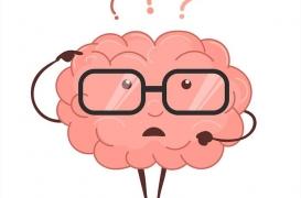 Comment le cerveau décide-t-il de ce qu’il doit apprendre ?