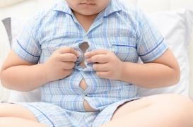 La pollution et le tabac, principaux facteurs environnementaux de l'obésité infantile