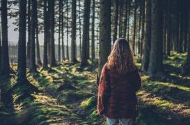 Les balades en forêt seraient bénéfiques pour la santé mentale 