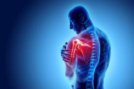 Douleur de l’épaule : penser à la souris…