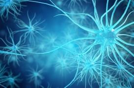 SLA : des chercheurs identifient des gènes responsables de la mort des neurones
