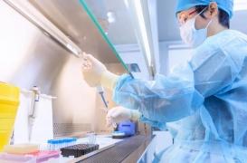 Sida : des chercheurs parviennent à détruire des cellules infectées par le VIH