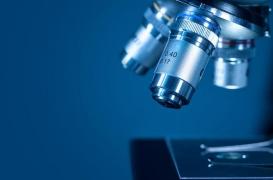 Les nouveaux mots des maux du cancer : présentation de la métronomie