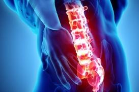 Ostéoporose : le traitement préventif des fractures débute trop tard