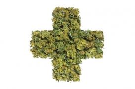 Etats-Unis : des parents perdent la garde de leur fils pour avoir traité son épilepsie sévère avec du cannabis