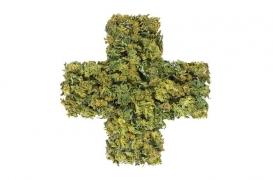 Cannabis thérapeutique : nouvelle entorse en vue sur la régulation des médicaments