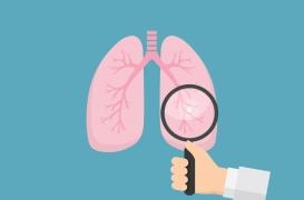 Un poumon sur puce pour décrypter les maladies pulmonaires 