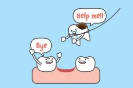 Scolarité, bagarres et jeux : que faire en cas de perte de dents ? 