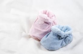 L’influence des gènes des futurs papas sur le sexe de leur progéniture