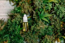 Cannabis : le Colorado évalue l'impact de la légalisation sur la santé