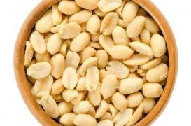 Un nouveau traitement contre les allergies aux arachides prévu pour 2019 