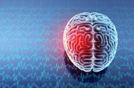 Mémoire et traumatisme : mieux comprendre nos processus mémoriels après un choc