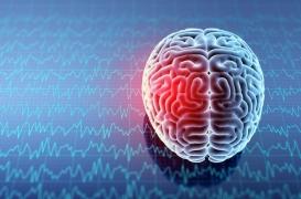 La stimulation par ultrasons pourrait aider à apprendre plus vite 