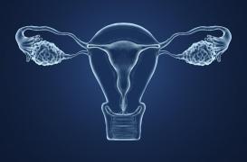 Procréation assistée et cancer : les risques pourraient être finalement liés aux causes de l'infertilité