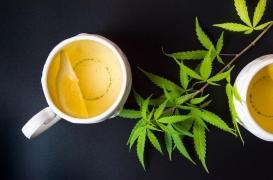 Tisanes de cannabis saisies par les gendarmes : le parquet décide de les remettre en vente