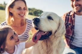 Vous avez un chien ? C’était écrit dans vos gènes !