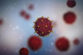 Sida : les femmes verrouillent plus efficacement le VIH dans leurs cellules que les hommes