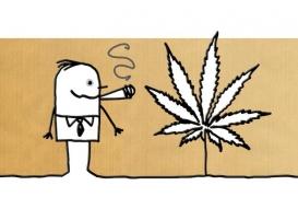 Cannabis : qu'est-ce que le syndrome cannabinoïde et comment y remédier ?