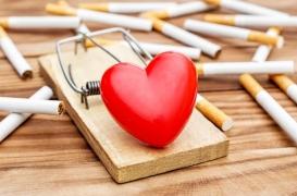Mois sans tabac : une seule cigarette par jour est dangereuse pour le cœur