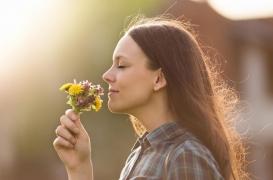 Comment les odeurs et parfums sont traités par notre cerveau