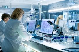 Maladie de Charcot : pourrait-on la bloquer directement à la source ?