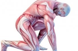 De la crampe à la déchirure, ce n’est pas la  même cause ; ni le même pronostic